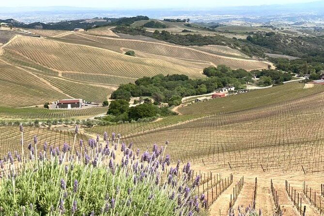 a-la-la-tour-private-tour-of-californias-central-coast