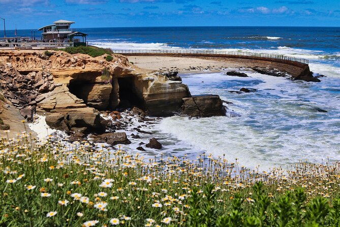 a-seaside-stroll-la-jollas-hidden-treasures-self-guided-tour