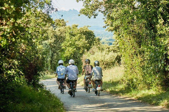 a-tour-in-provence-in-a-typical-french-motorized-bike-the-solex