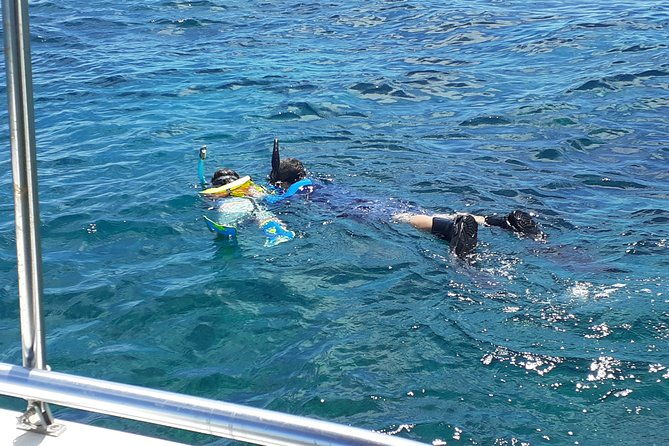 a-unique-private-snorkel-tour-of-key-largo