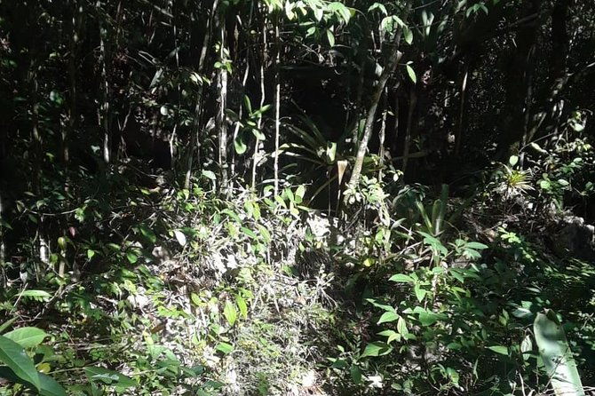 accompong-town-of-the-maroons-day-adventure