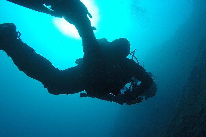 aci-castello-diving-for-certified-divers