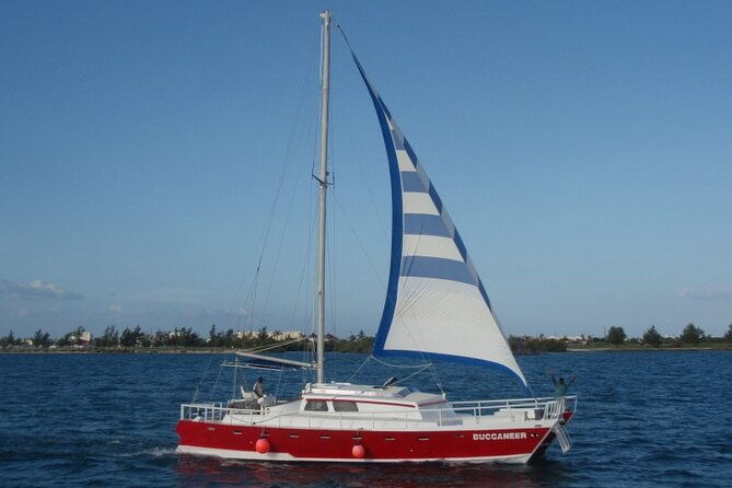 acquarius-stingray-city-and-snorkel-tours