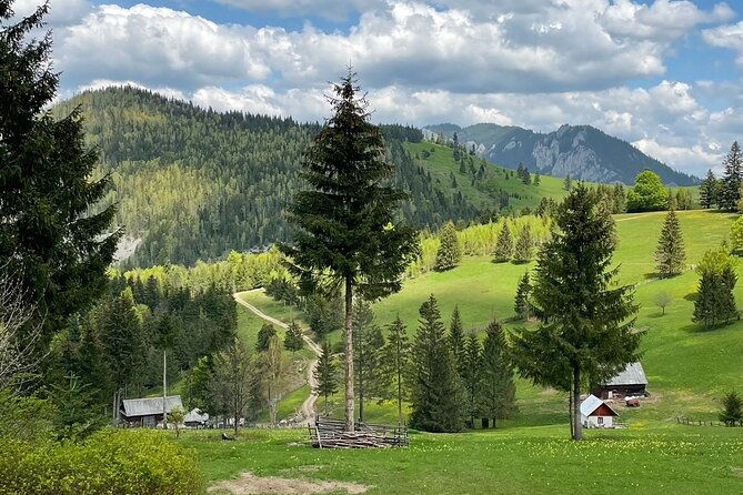 adventure-day-trip-from-iasi-hiking-in-the-carpathian-mountains
