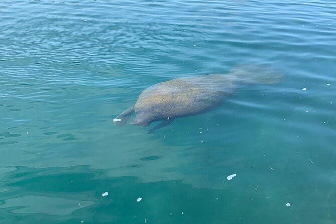 afternoon-kayak-and-paddleboard-tours-in-condado-lagoon