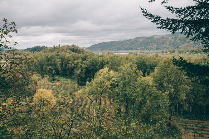 afternoon-multnomah-falls-and-gorge-waterfalls-tour