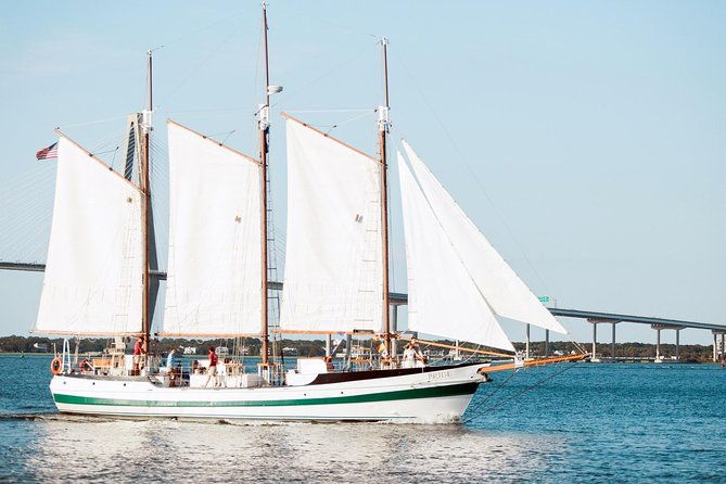 afternoon-schooner-sightseeing-dolphin-cruise-on-charleston-harbor