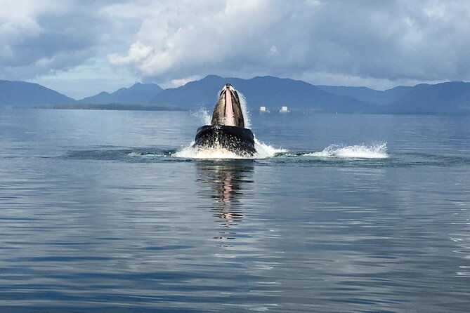 alaskan-bear-encounter-by-land-sea-2