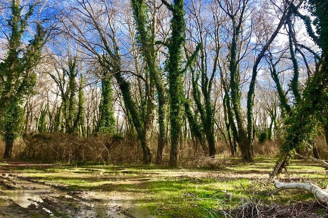 albania-birdwatching-kayaking-bicycle-national-park-divjaka-karavastaarg