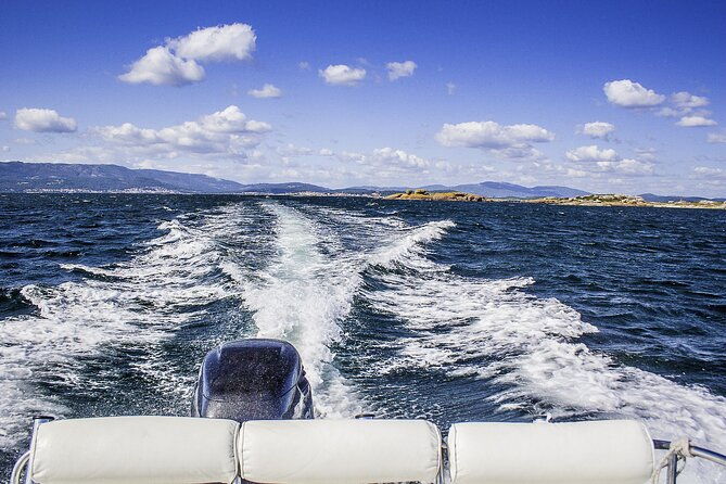 albarino-private-wine-tour-in-rias-baixas