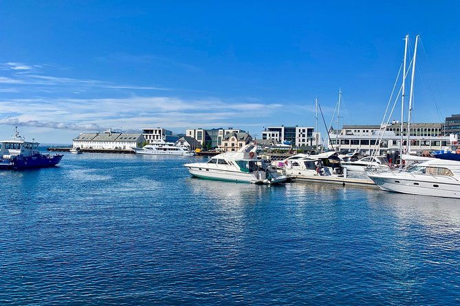alesund-sightseeing-private-tour-for-cruise-passengers