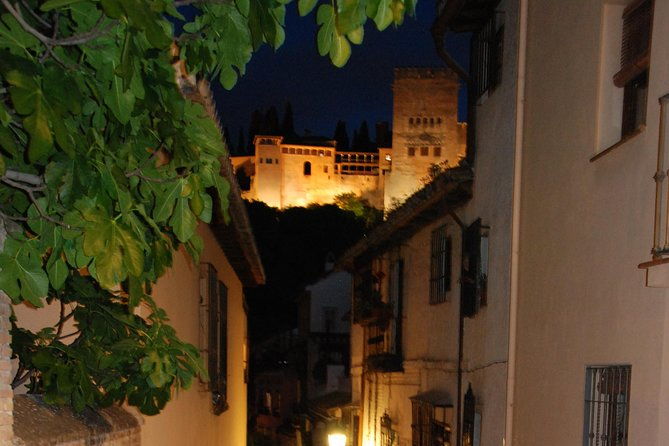 alhambra-night-visit-to-nasrid-palaces-2