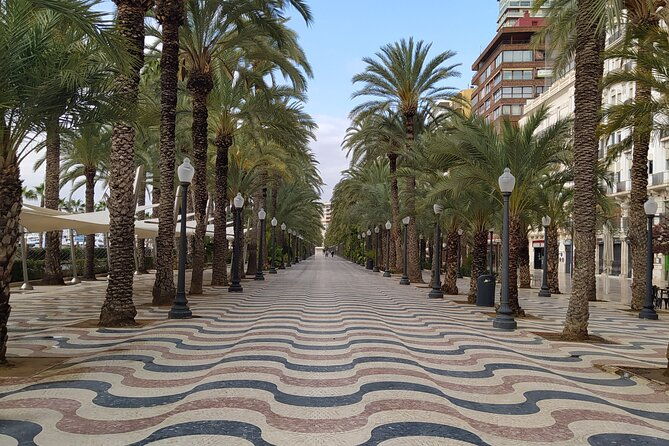 alicante-highlights-private-tour-with-castle-2