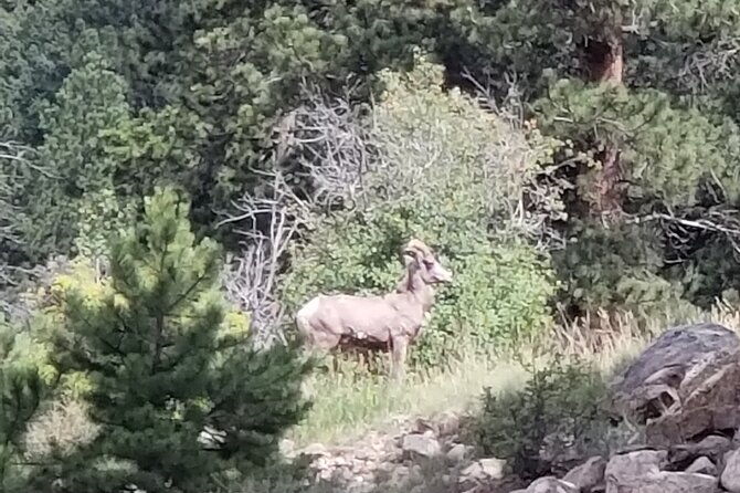 all-day-rocky-mountain-national-park-to-grand-lake-tour