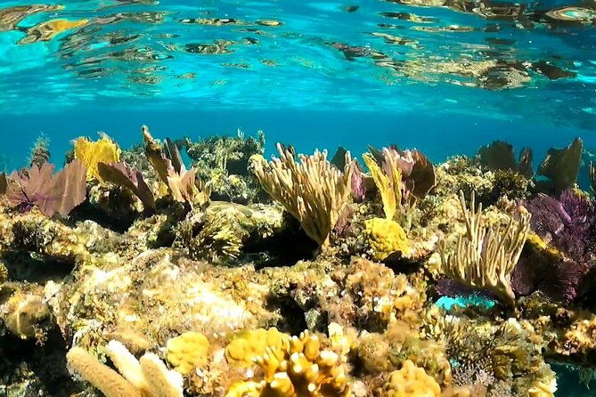 all-inclusive-day-trip-from-nassau-to-andros-bahamas