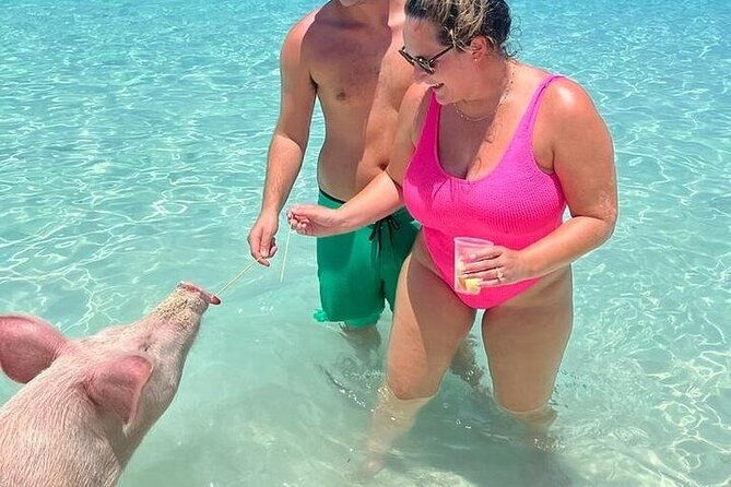 all-inclusive-pig-encounter-snorkeling-turtles-lunch-beach