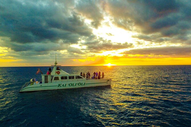 all-inclusive-sunset-dolphin-watch-and-snorkeling-cruise
