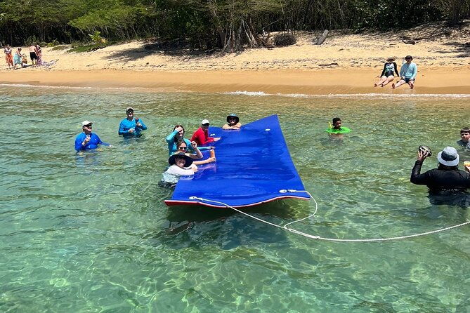all-inclusive-vieques-swim-with-turtles-pristine-beaches-await