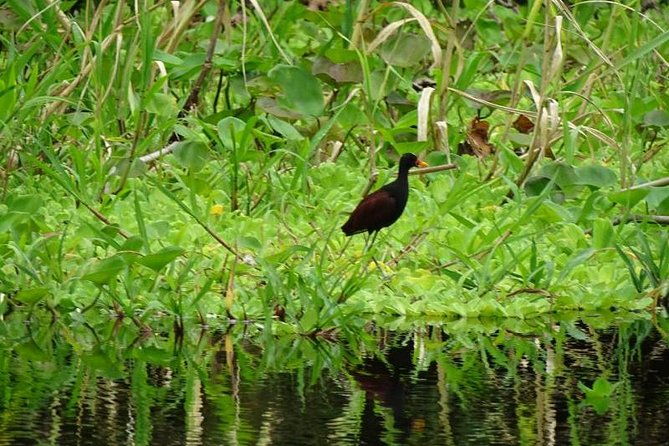 amazing-jungle-3days-2nights-amazon-wonder-expeditions