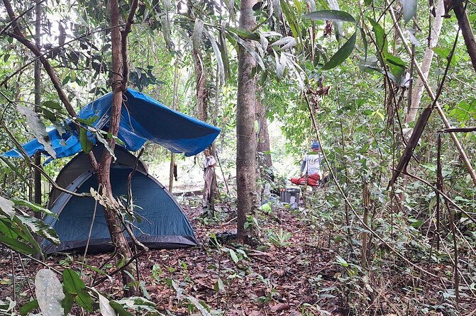 amazon-untamed-expedition-3-days-and-2-nights-pacaya-samiria