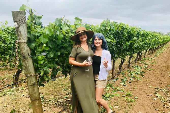 amy-rebas-day-drinking-wine-tours-where-well-drive-you-to-drink-2