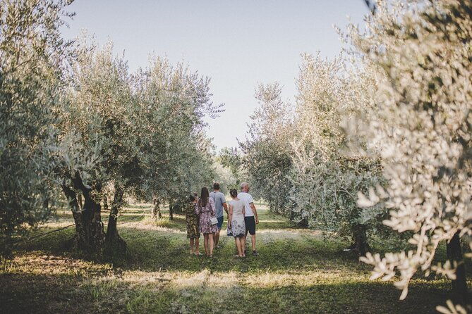 an-authentic-istrian-olive-oil-wine-local-food-experience-near-umag