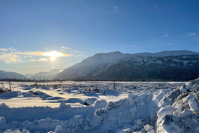 anchorage-to-seward-pre-cruise-curated-wildlife-tour-transfer-2