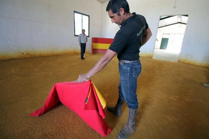 andalucia-bull-and-horse-farm-and-ronda-private-tour-from-malaga-2
