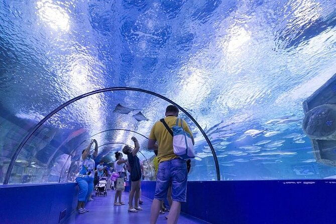 antalya-aquarium-and-face-to-face-wax-museum-ticket