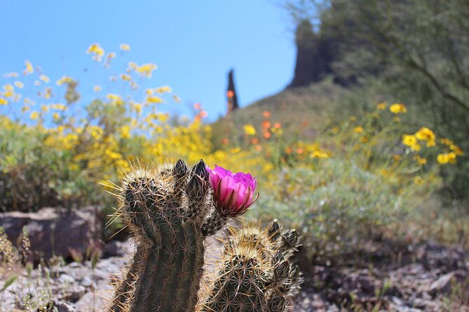apache-trail-private-half-day-tour