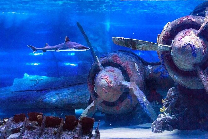 aquarium-face2face-wax-museumwith-hotel-transfer