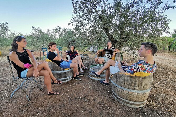 archeology-visit-to-a-vineyard-and-wine-and-pecorino-cheese-tasting-2