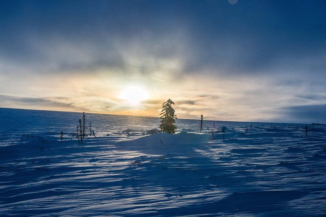 arctic-circle-aurora-drive-adventure-2