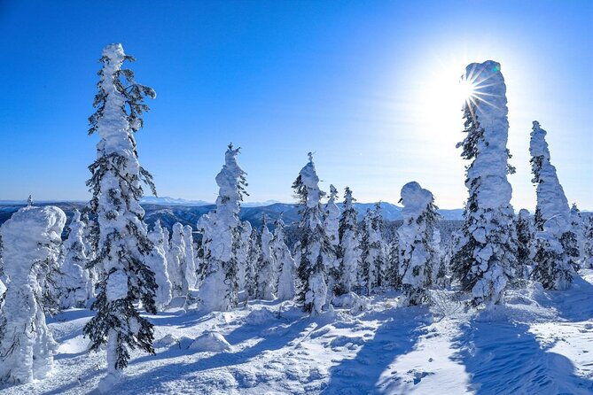 arctic-circle-day-tour-adventure