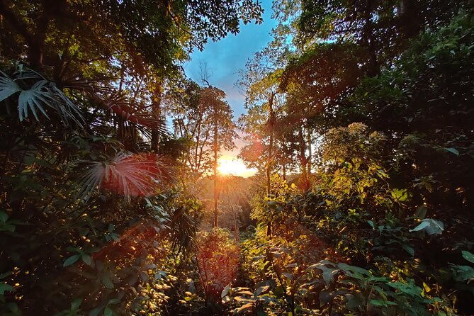 arenal-observatory-lodge-trails