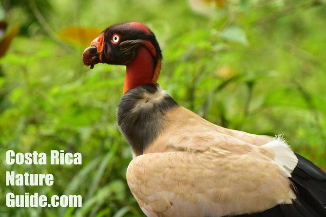arenal-volcano-highlights-mistico-park-arenal-volcano-park-la-fortuna-waterfall