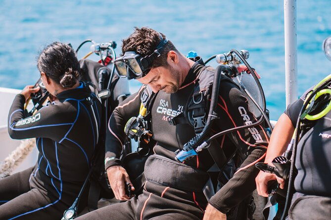 aruba-guided-night-dive-adventure-shallow-reefs-or-shipwrecks
