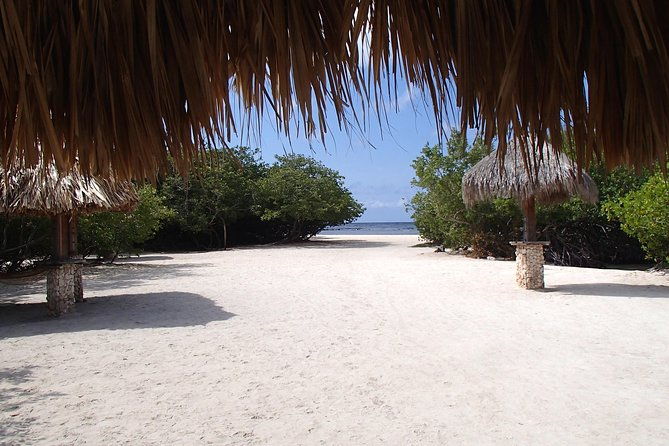 aruba-mangel-halto-and-baby-beach-snorkeling-guided-tour