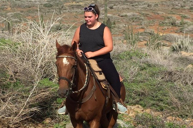 aruba-private-2-hour-horseback-riding-tour-for-advanced-riders