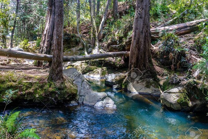 arvi-park-and-waterfalls-medellin-city-tour-5-hour