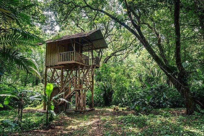 atitlan-hiking-and-birding-day-tour-from-antigua