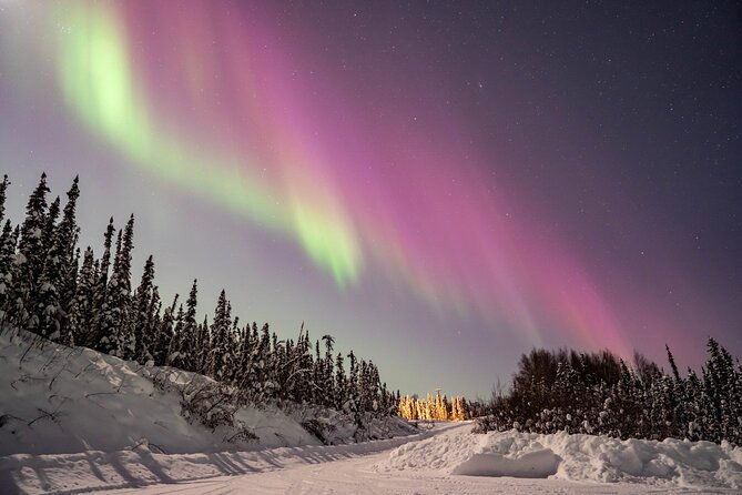 aurora-chasing-tour-with-free-photography