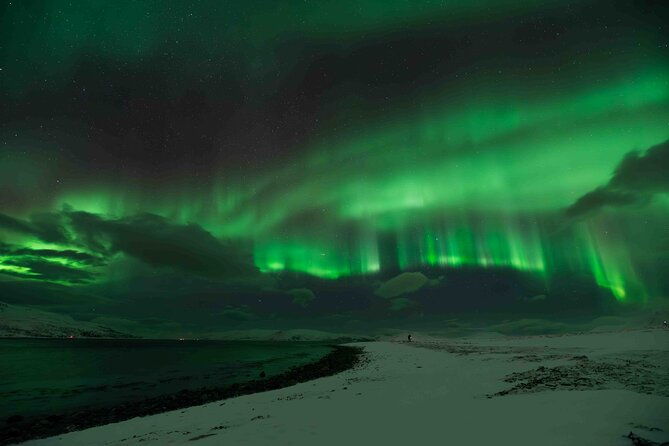 aurora-hunt-with-professional-photographer-from-alta