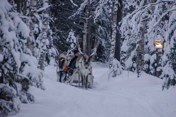 authentic-reindeer-farm-experience-in-rovaniemi