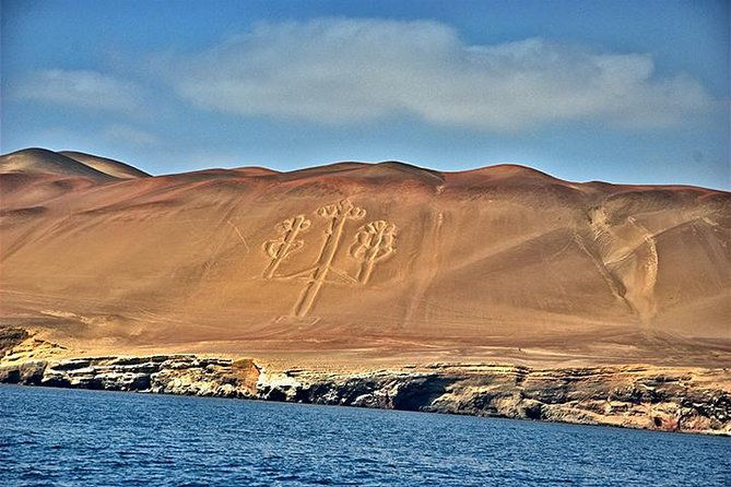 ballestas-islands-group-tour-from-paracas