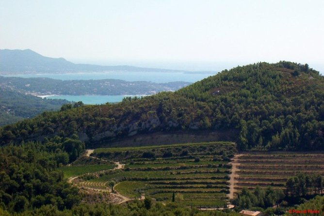 bandol-wine-tour-4-hour-private-tour