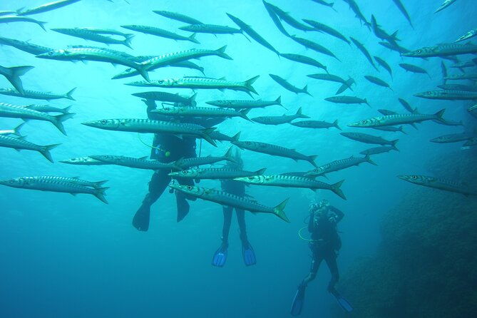 baptism-in-the-northern-marine-reserve-of-menorca