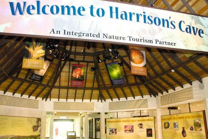 barbados-harrisons-cave-and-atlantis-submarine-dive-tour