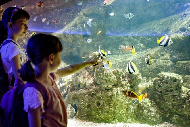barcelona-city-tour-hop-on-hop-off-and-aquarium