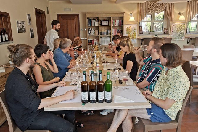 barolobarbaresco-wine-tour-with-a-local-winemaker